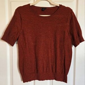 Ann Taylor Rust Crew Neck Sweater